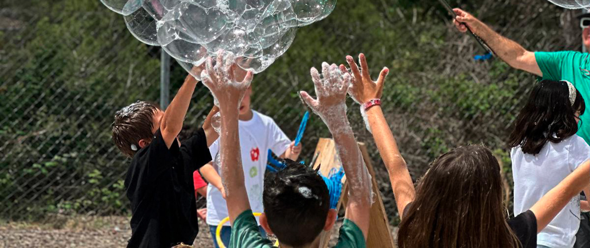 Festa d’Escola 2024