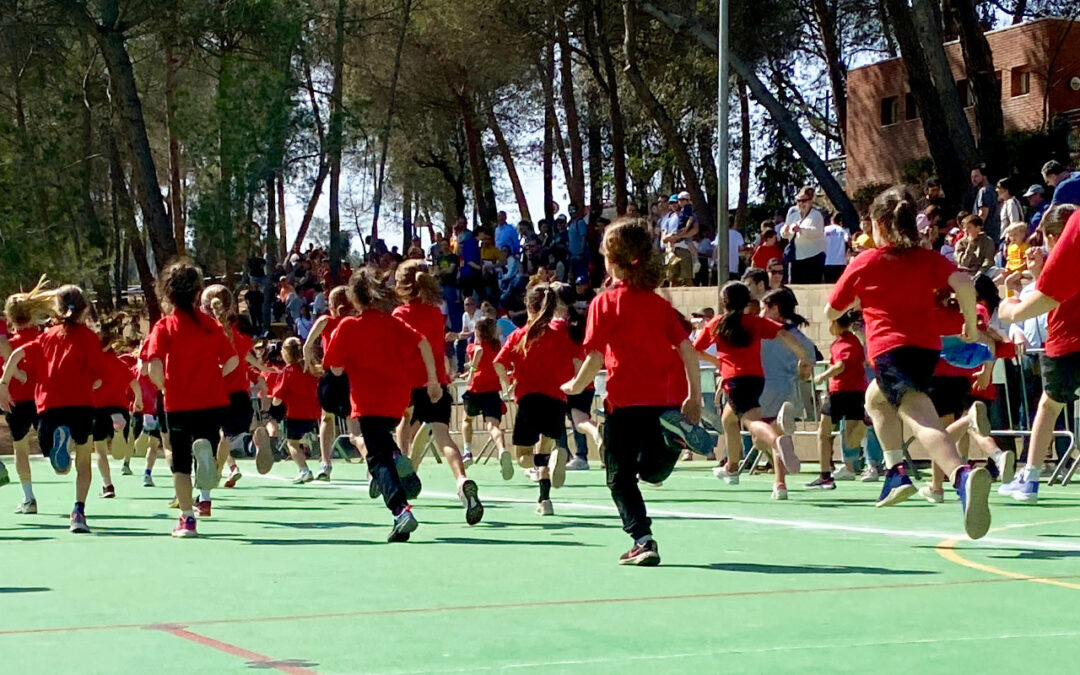 La celebració del Cros i els seus valors