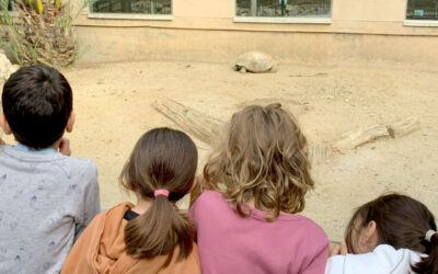 Aprendre explorant: sortides del 1r Cicle de Primària per descobrir la natura