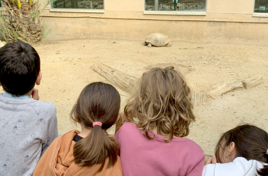 Aprendre explorant: sortides del 1r Cicle de Primària per descobrir la natura